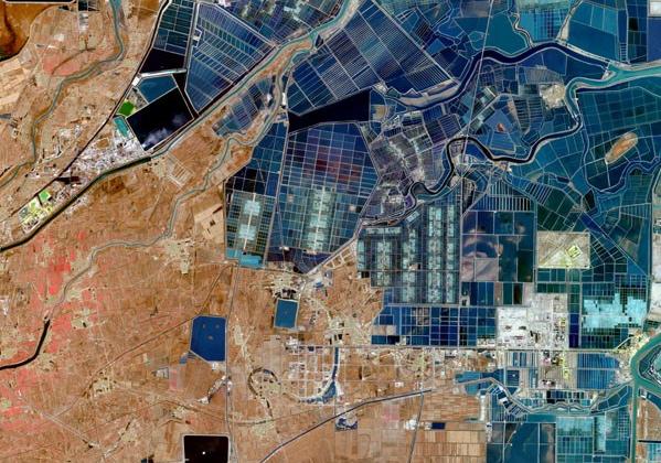 ʲô���b�м��g���ڜy�L��������Щ���ã�